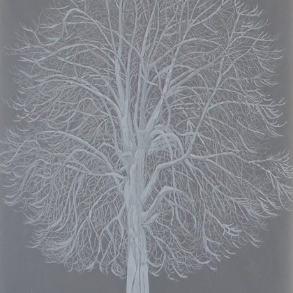 Marronnier, 2017, technique mixte sur papier calque, 21 x 30 cm
