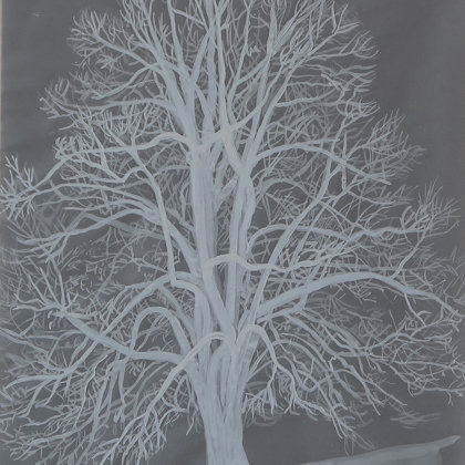 Linden, 2017, mixed media on translucent paper, 21 x 30 cm